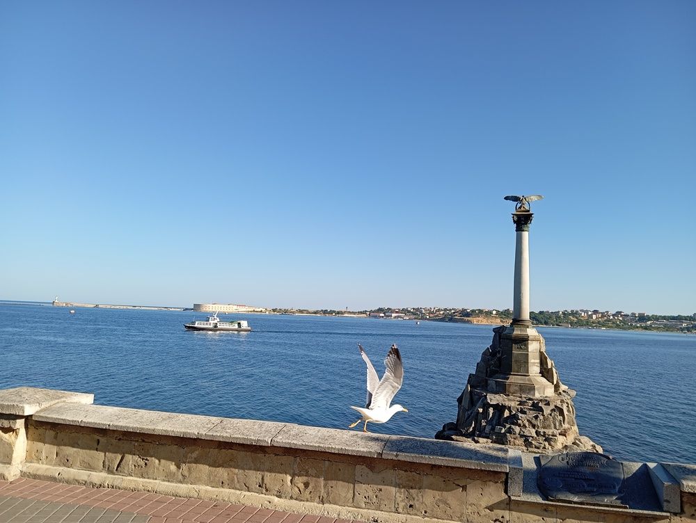 Photo #11788918