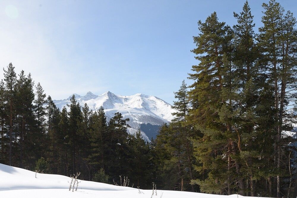 Photograph by Vitaliy