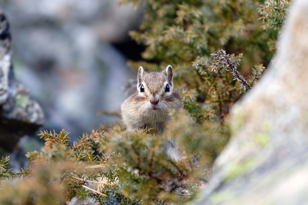 Photograph by Артём Кривошеев