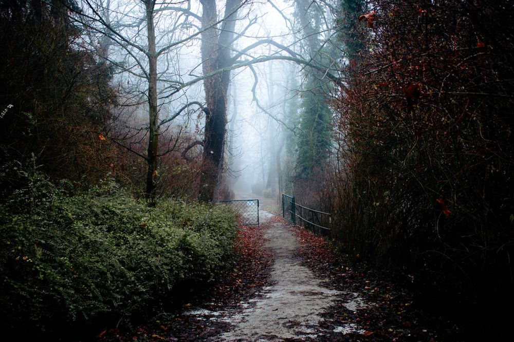 Photograph by Сергей Макаров