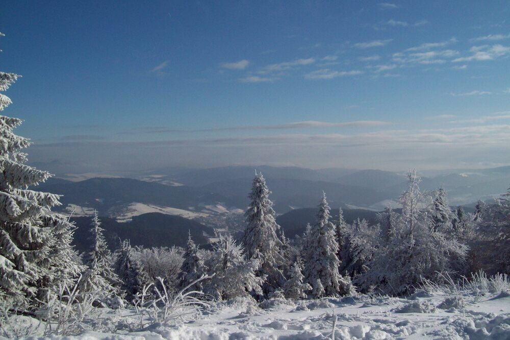 Photo #11788989