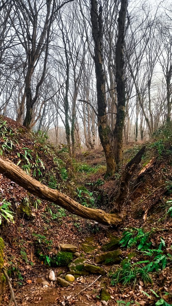 Photograph by mahdi ghanbari