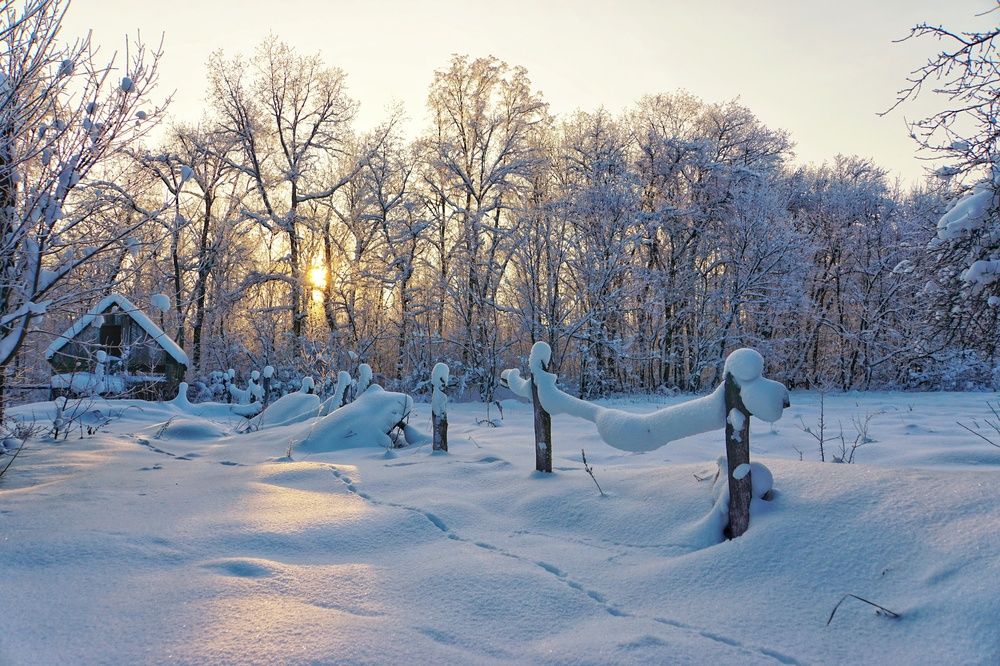 Photograph by Геннадий Глазнев