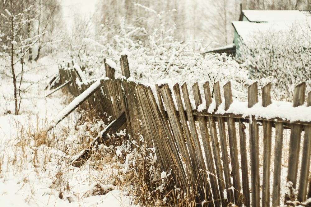 Photograph by Елена Квасова