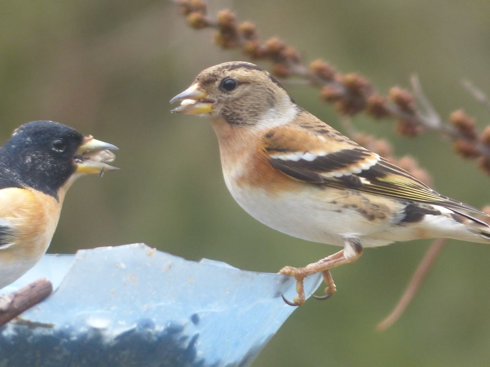 Photograph by Георгий Салюков