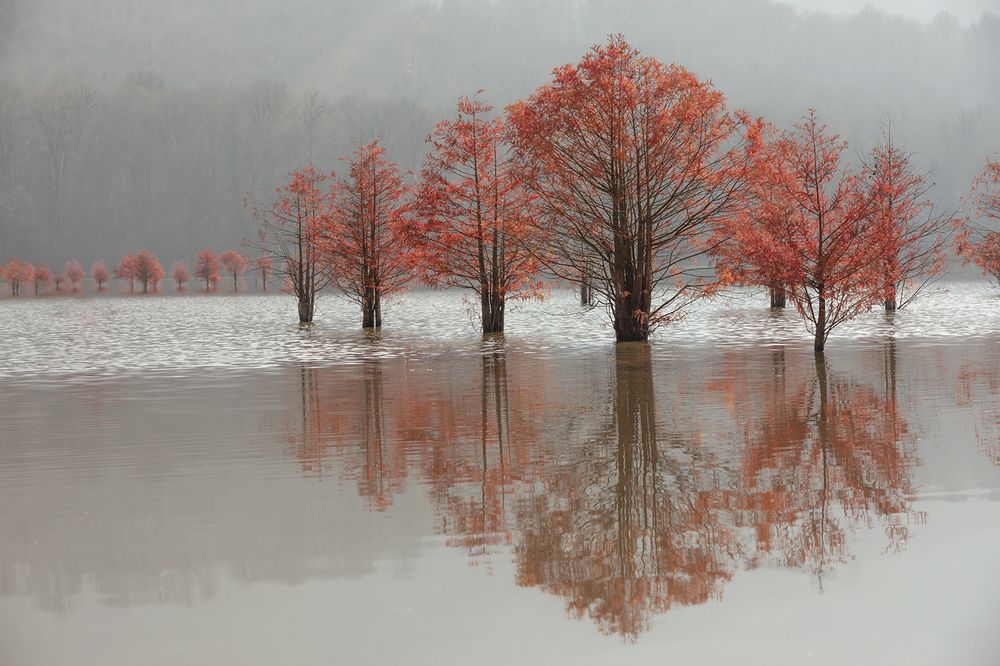 Photograph by SABA Etehad Ketabchi