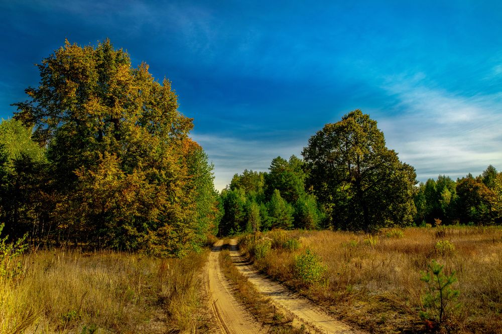 Photograph by Сергей Абашкин