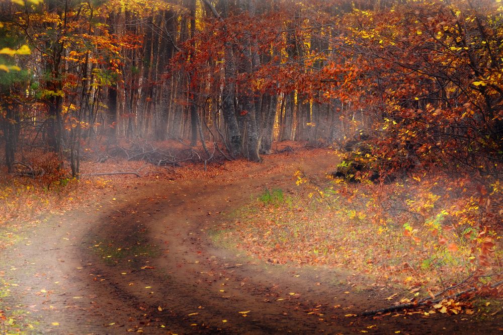 Photograph by Сергей Абашкин