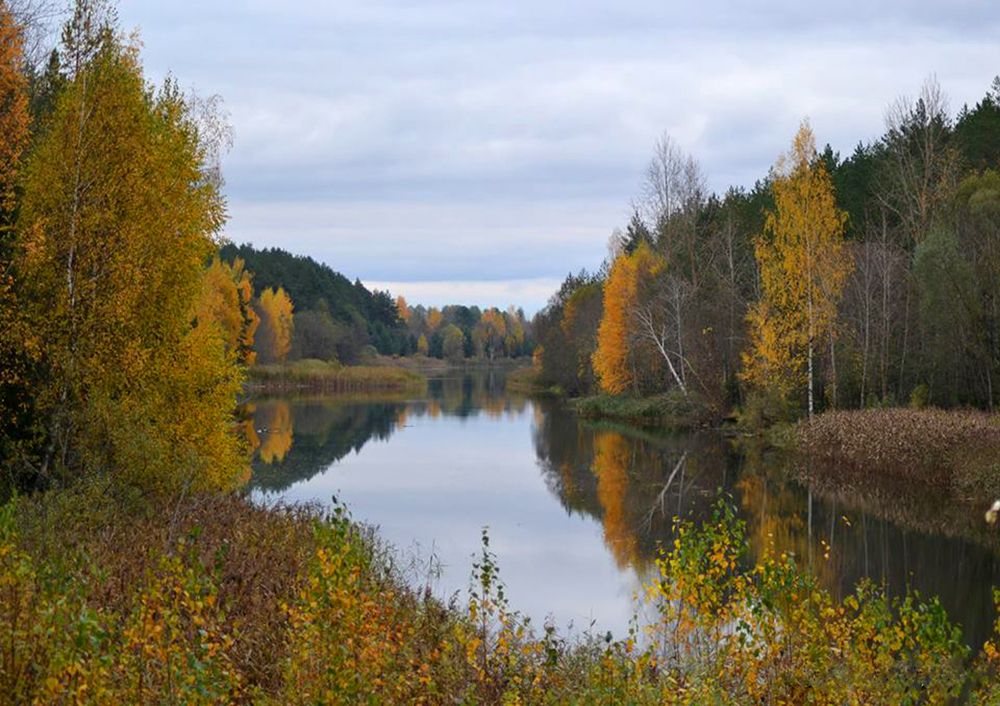 Photograph by Анна Кулакова