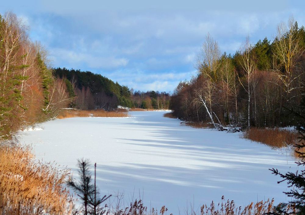 Photograph by Анна Кулакова