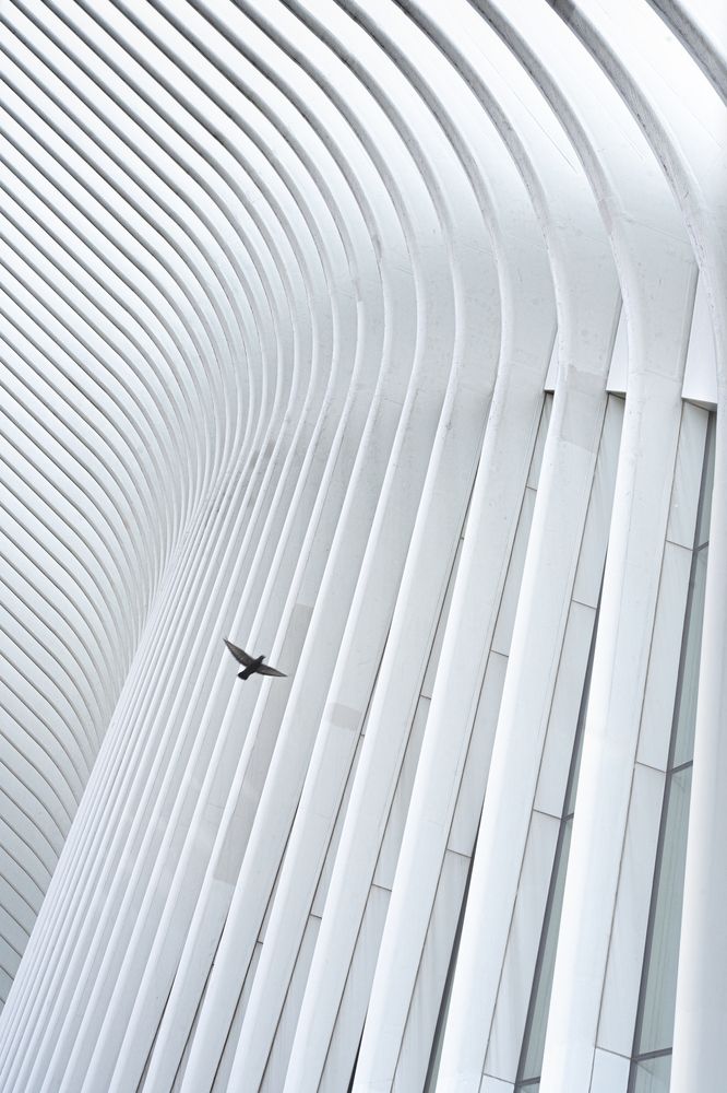 Photograph by Jayakumar MN