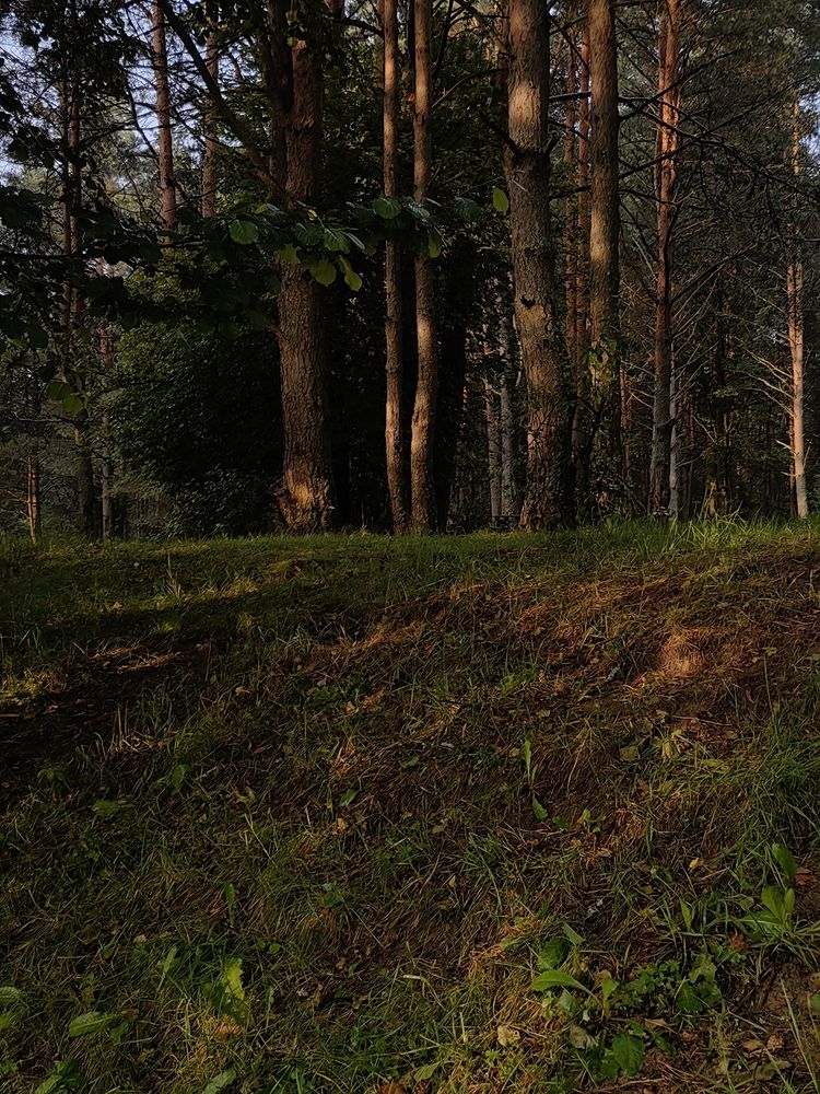 Photograph by Надежда