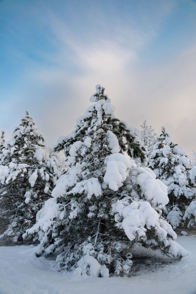 Photograph by Камиль Галеев