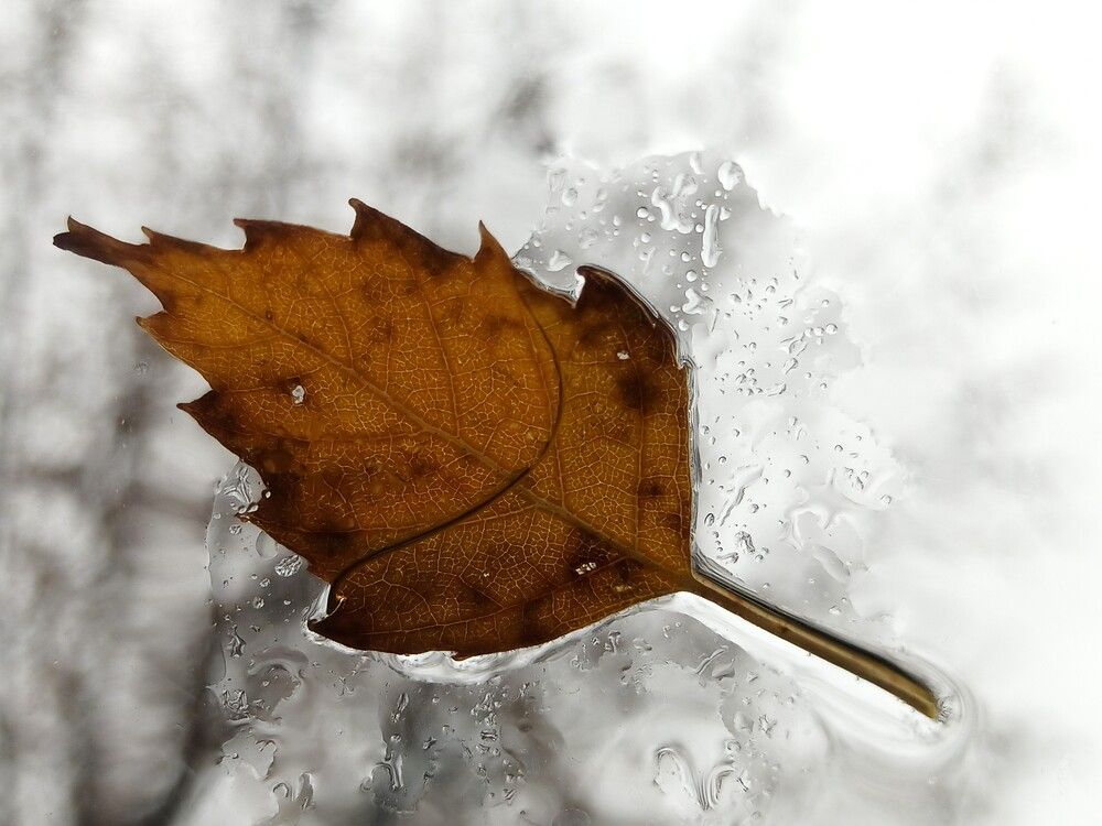 Photograph by Олег