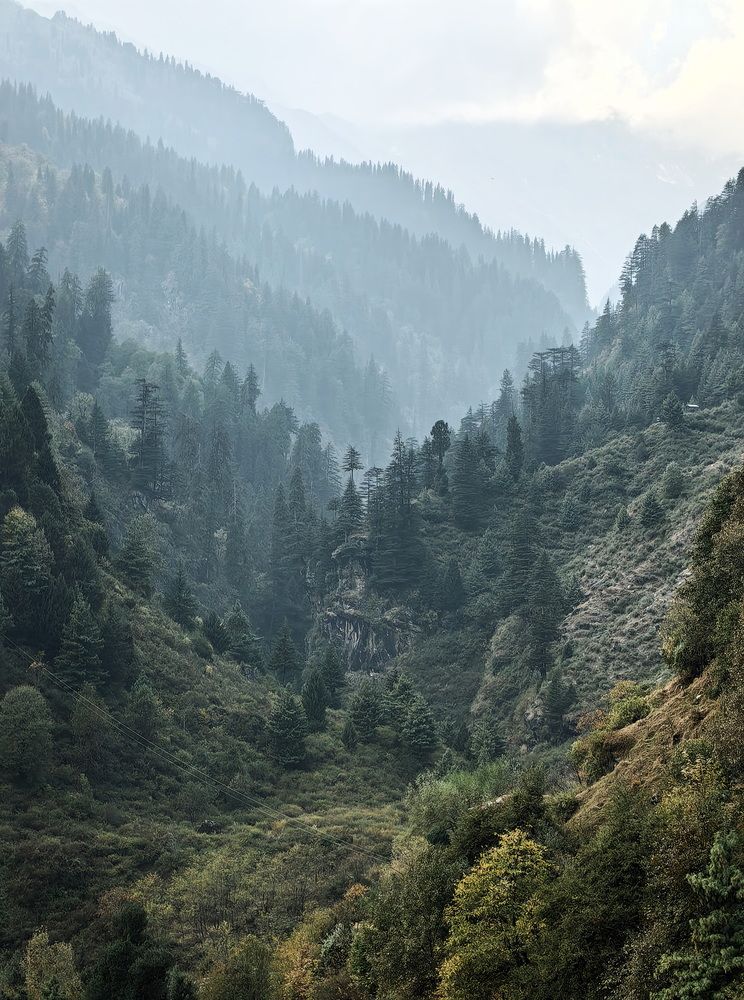 Photograph by Кристина Феминова