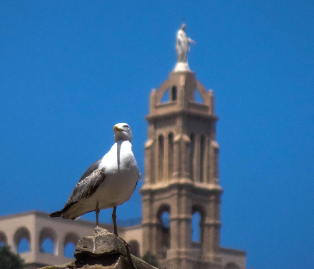 Photograph by mansour Hamdaoui