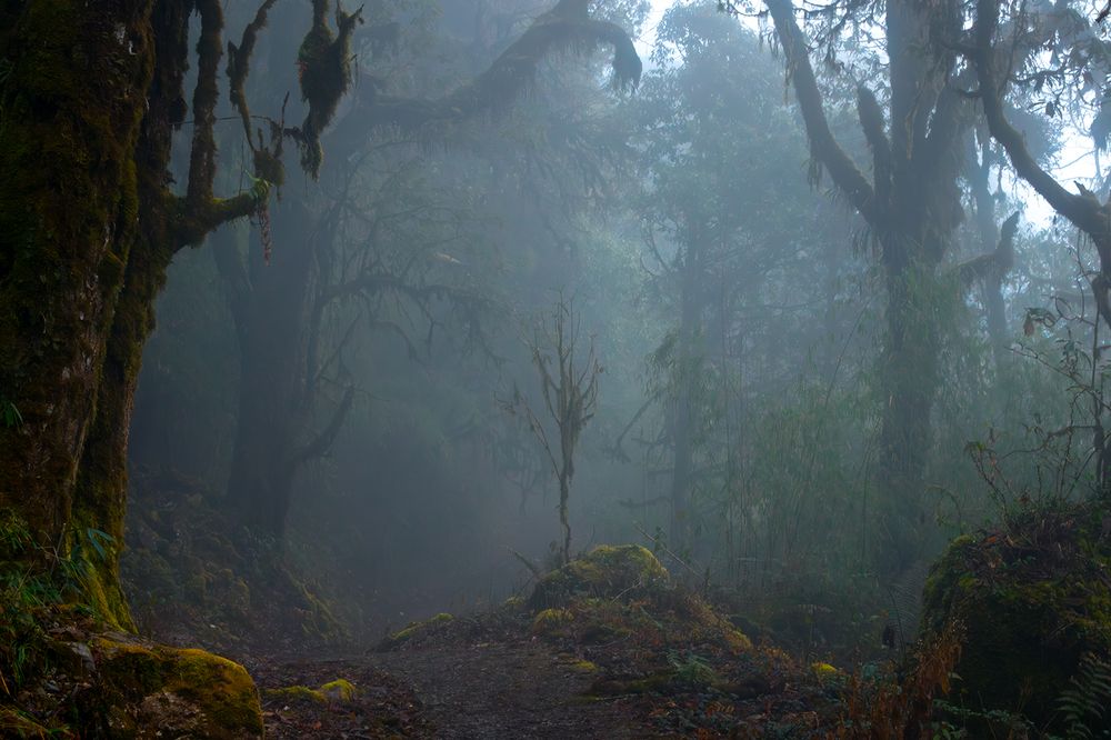 Photograph by Aritra Nath