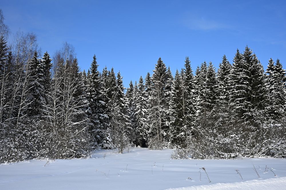 Photograph by Vitaliy