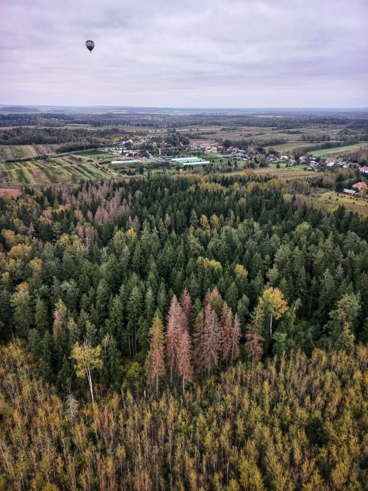 Photograph by Екатерина Петрович