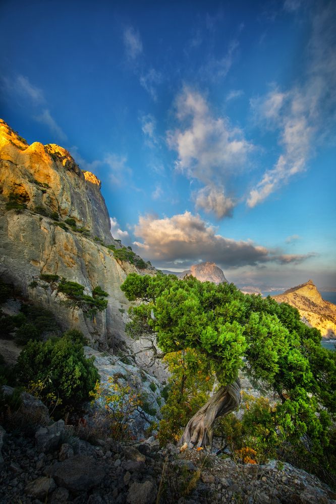 Photograph by Сергей Абашкин