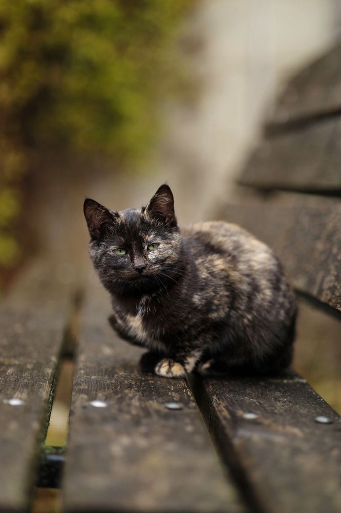 Photograph by Татьяна Королева