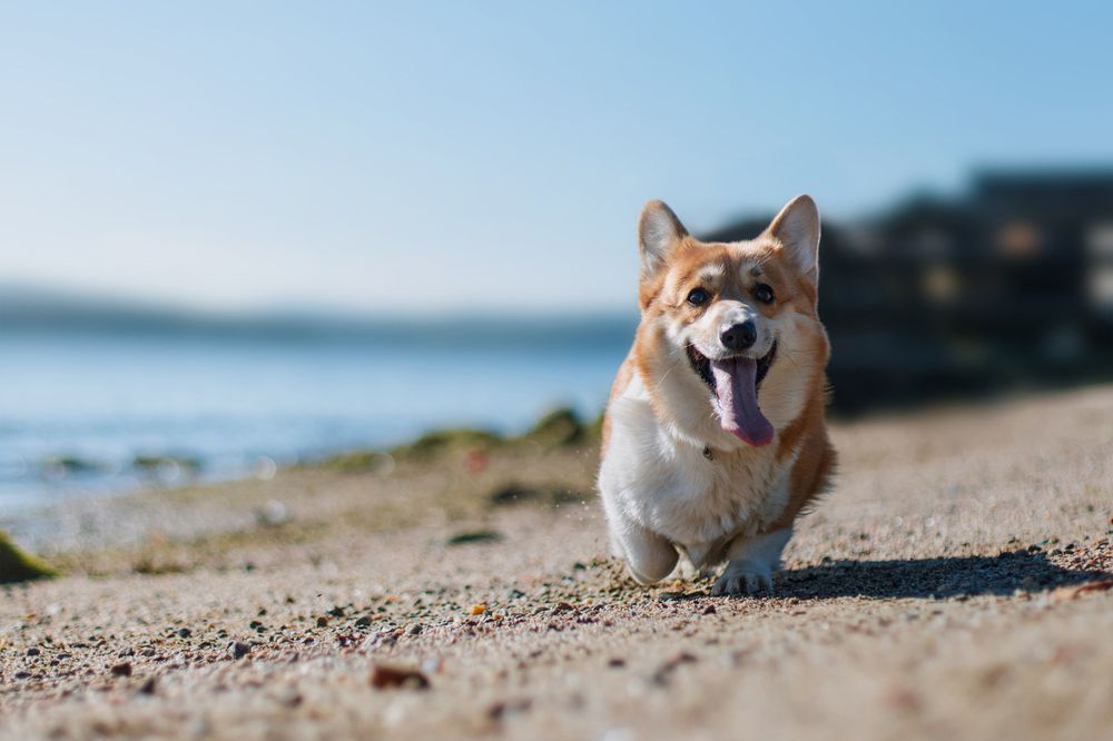 Photograph by Альвина Кузнецова