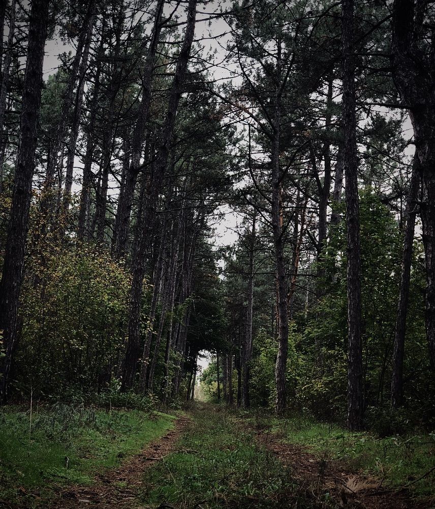 Photograph by Софья Цыбулько