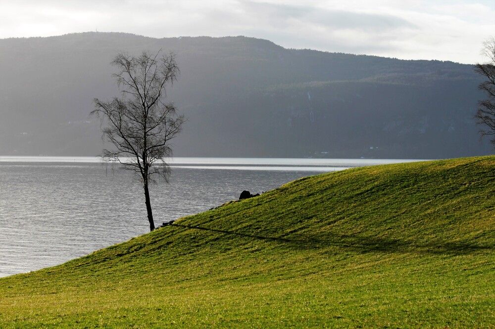 Photograph by Inese Firsova