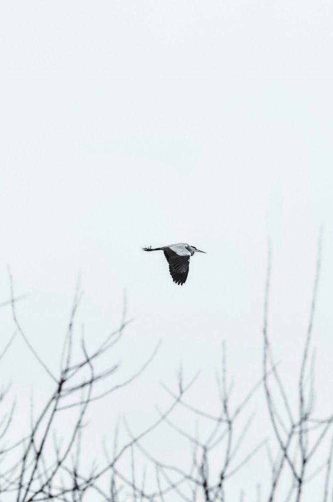 Photograph by Grigorijs Beskins