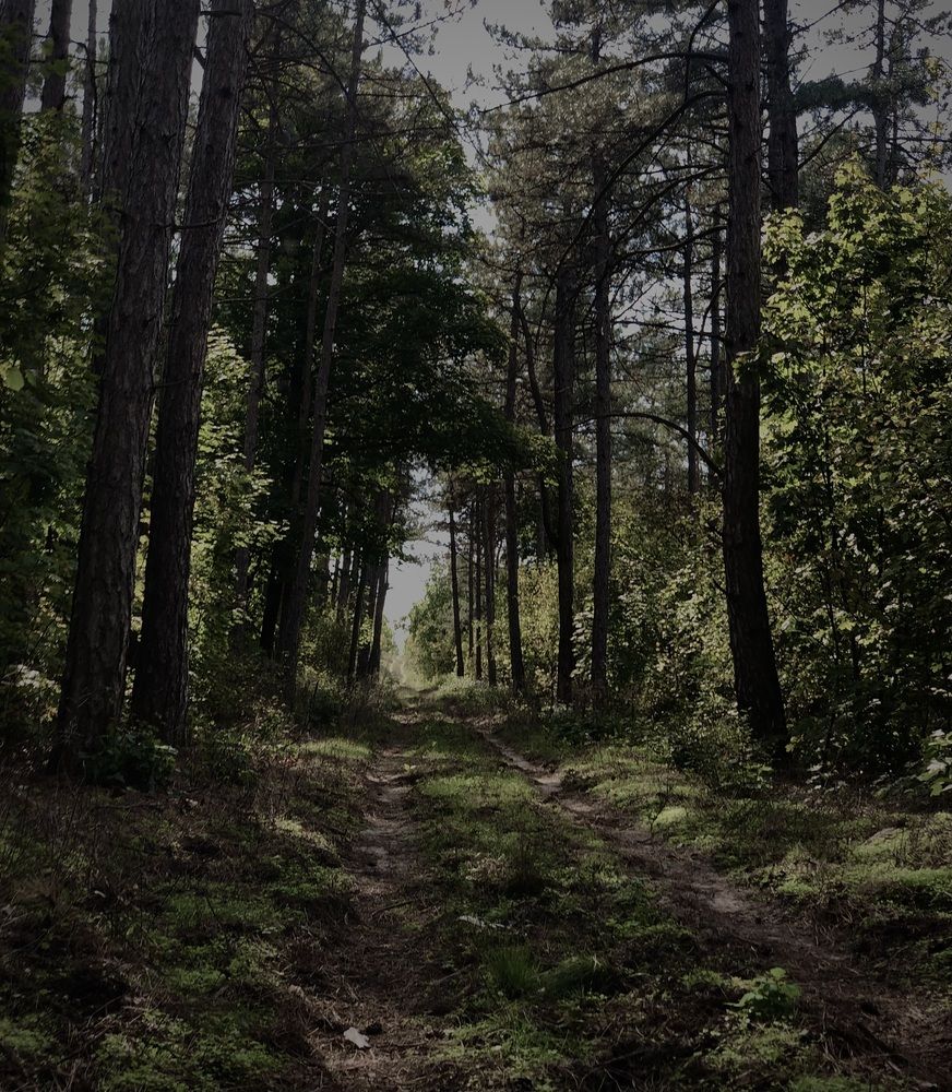 Photograph by Софья Цыбулько