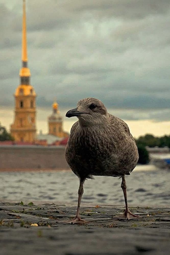 Фотография автора Валерий Жданов