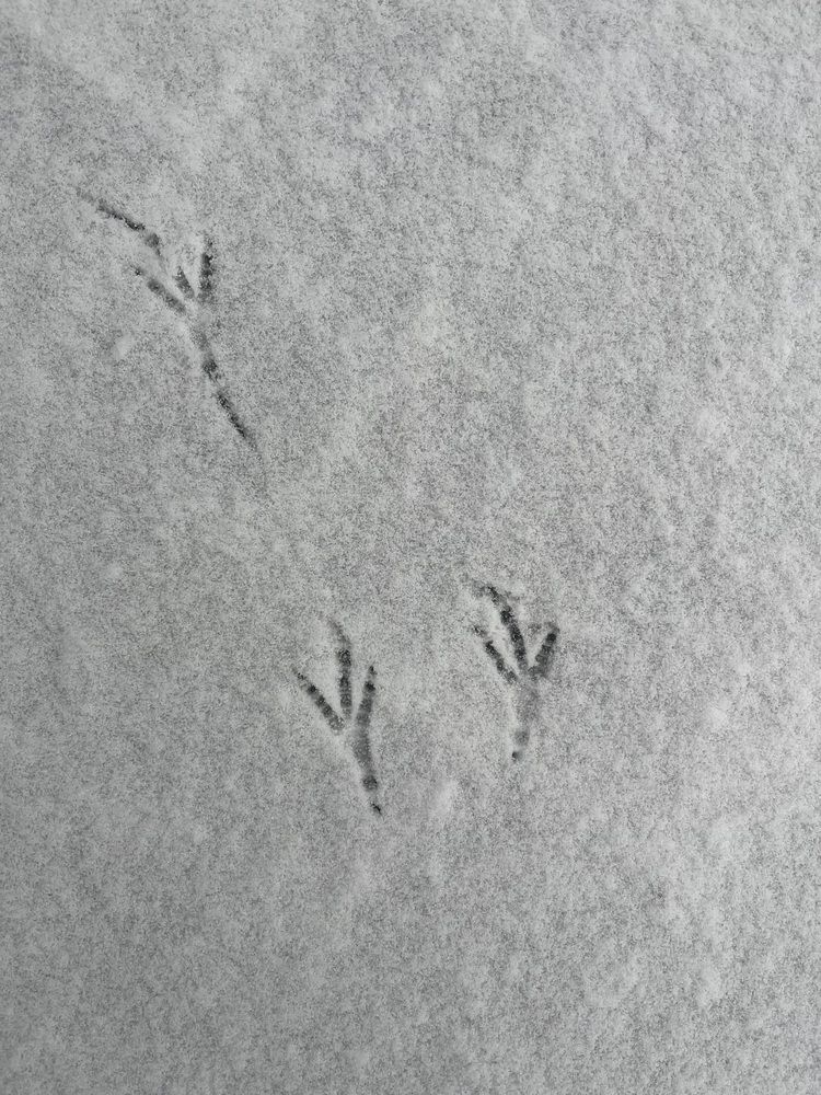 Photograph by Grigorijs Beskins