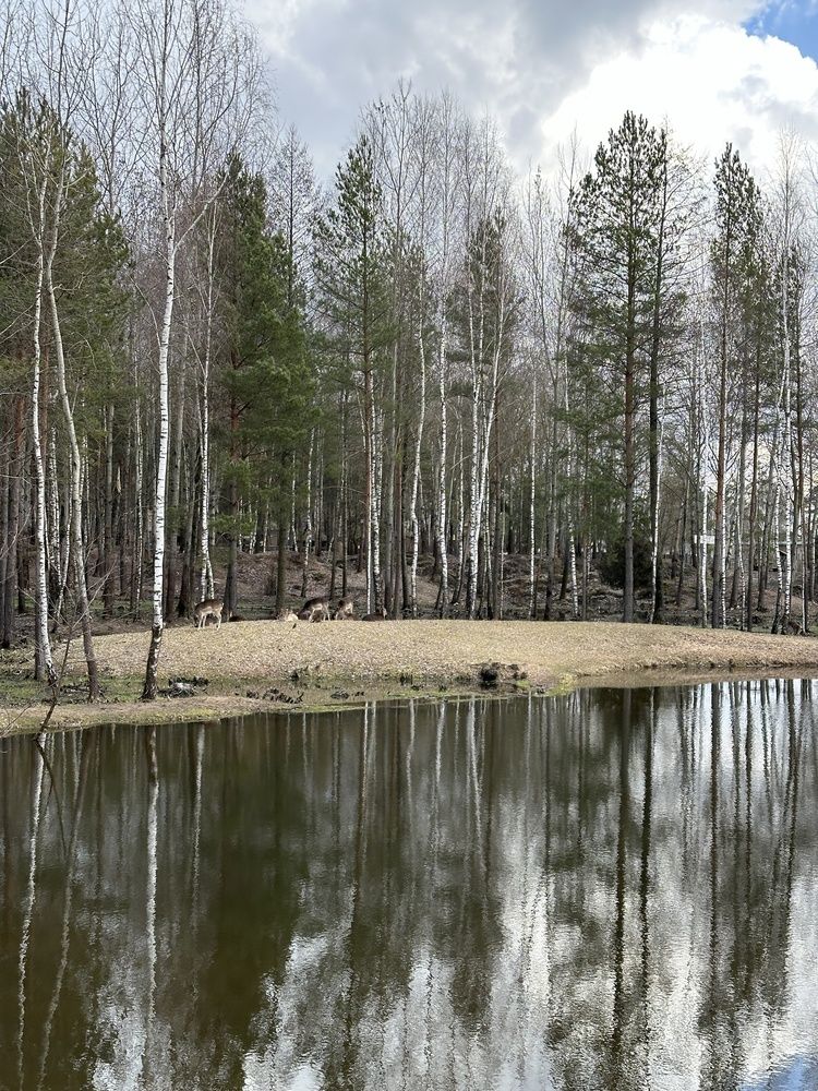 Photograph by Наталья Швед