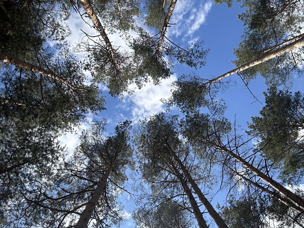 Photograph by Наталья Швед