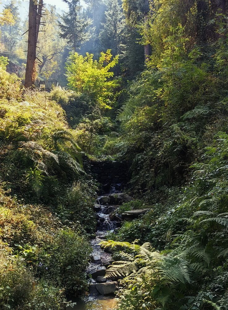 Photograph by Кристина Феминова