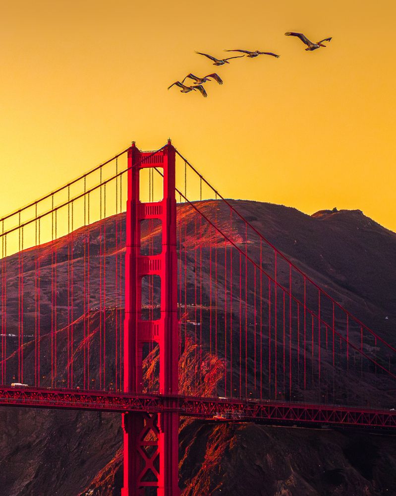 Photograph by Jayakumar MN