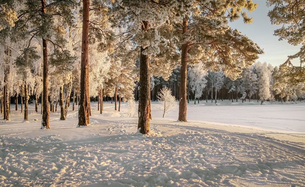 Photograph by Александра Щирова