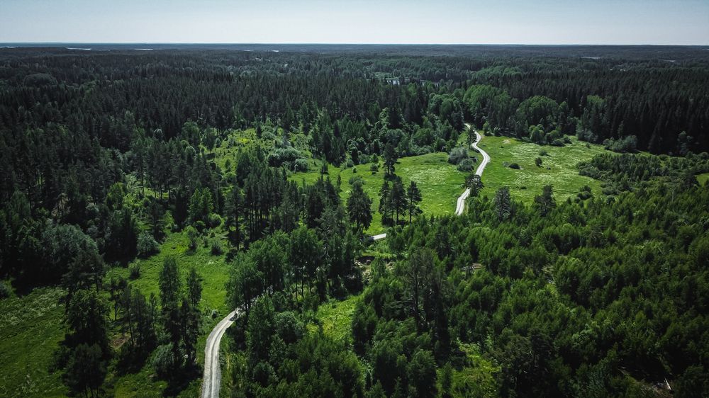 Photograph by Александра Щирова