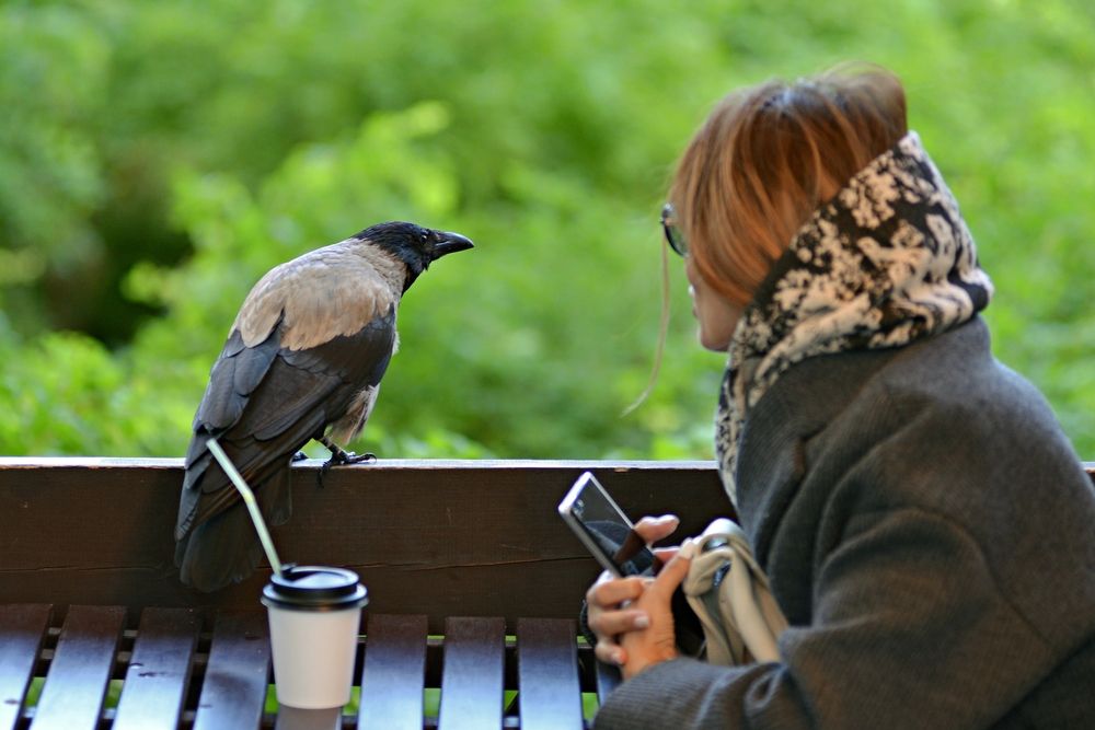 Фотография автора Валерий Жданов