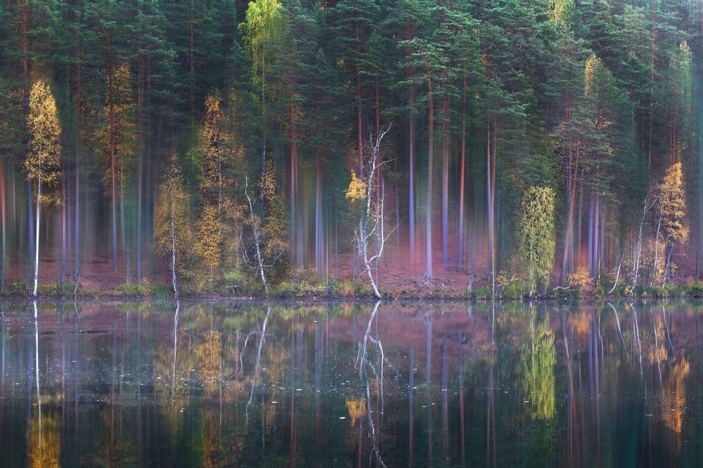 Photograph by Ирина Заколдаева