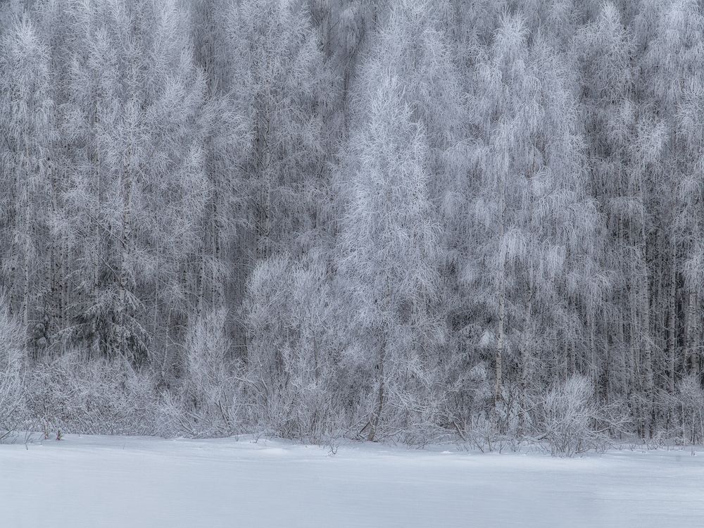 Photograph by Ирина Заколдаева