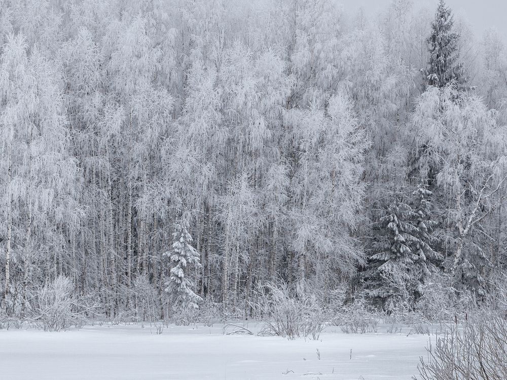 Photograph by Ирина Заколдаева