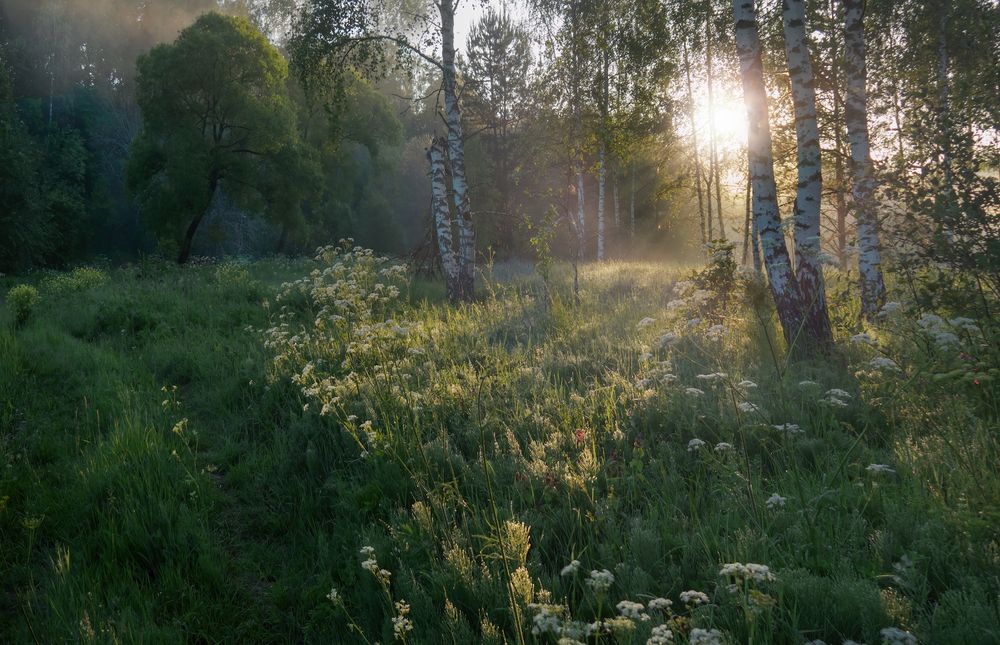 Photograph by Ирина Заколдаева