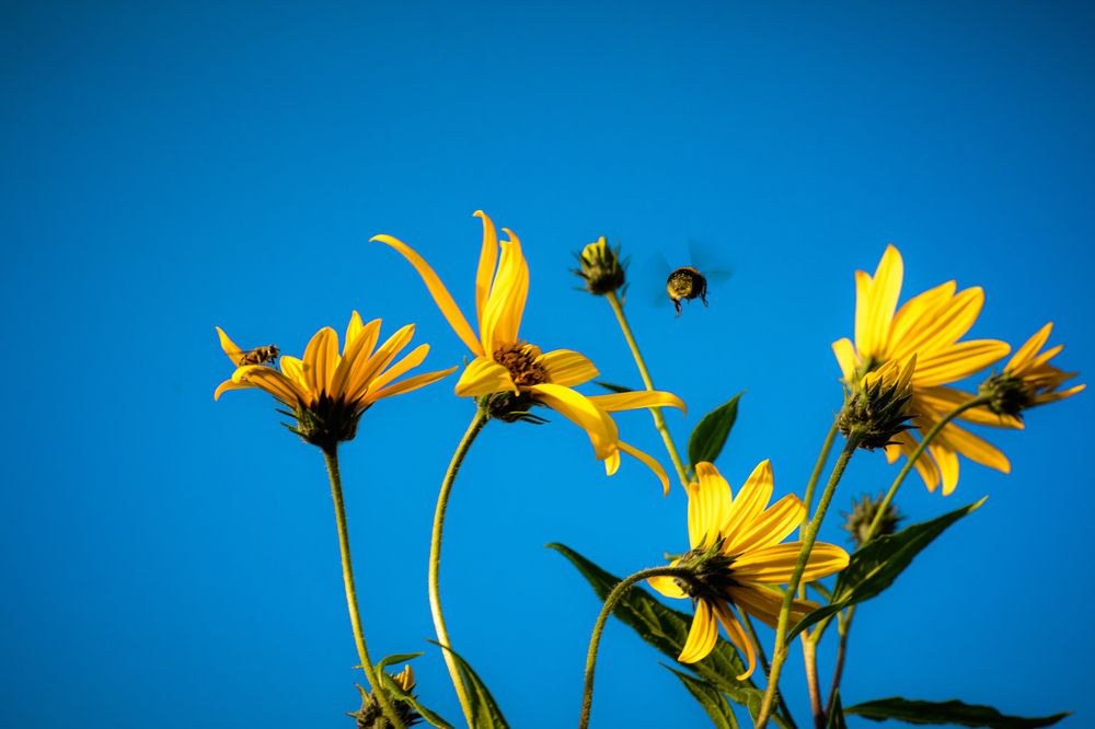 Photograph by Яна Бржозовская