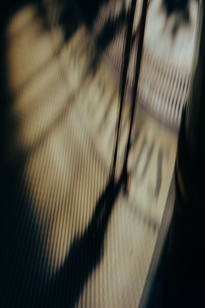 Photograph by Елена Скакун