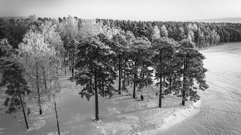 Photograph by Александра Щирова