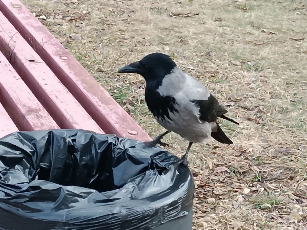 Photograph by Евгений Гонтов