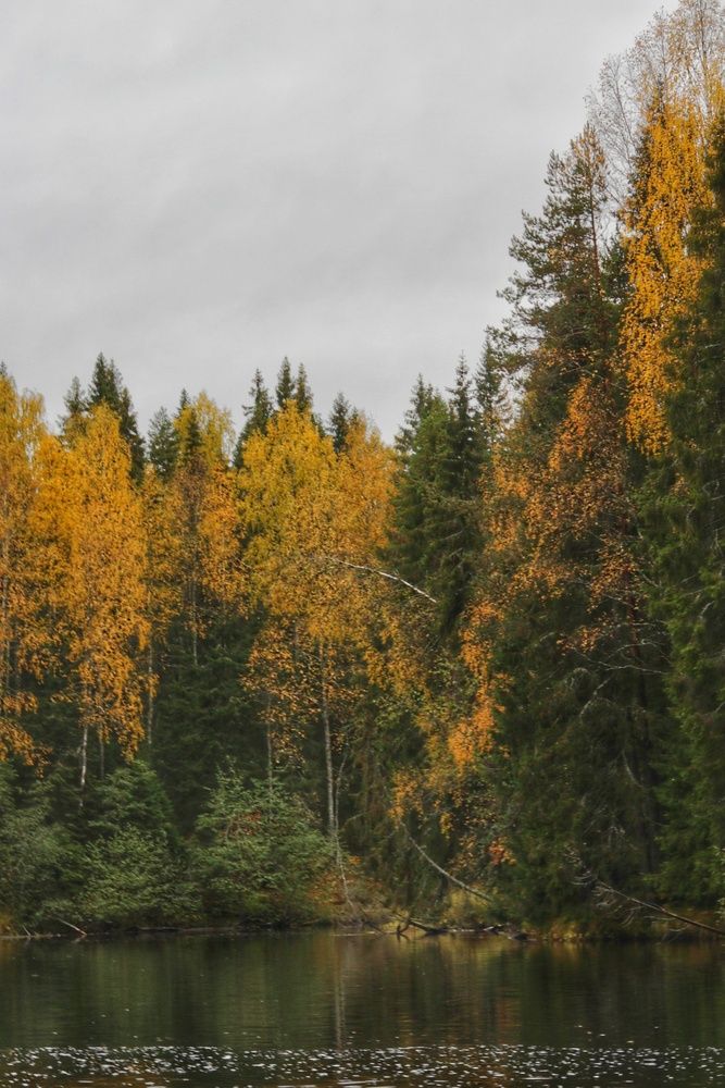 Photograph by Давыдов Николай