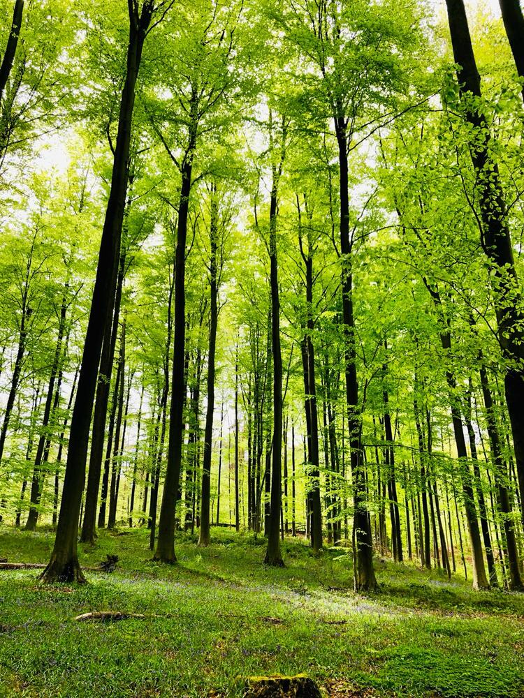 Холлербос - дом Солнца