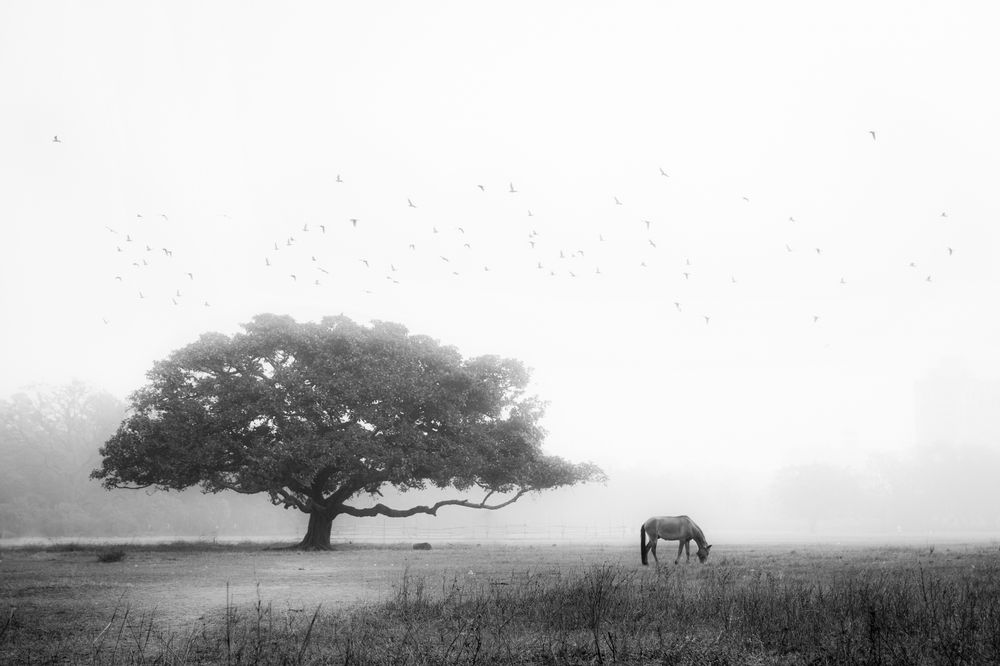 Photograph by Aritra Nath